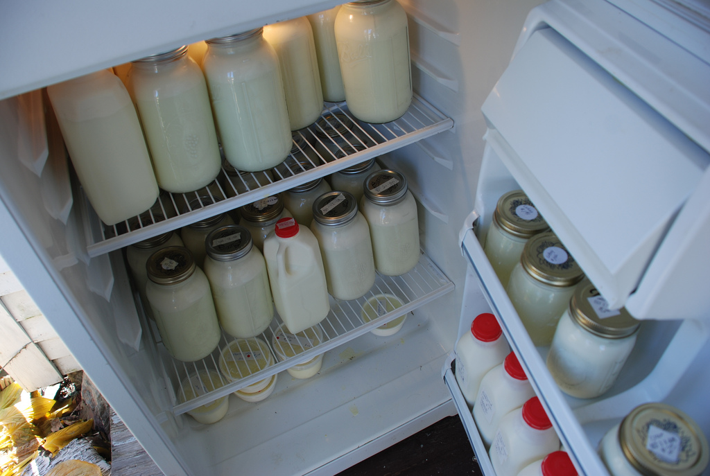 Fridge full of raw milk, from Flickr user kthread.